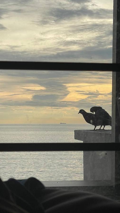 Apartment Seaview